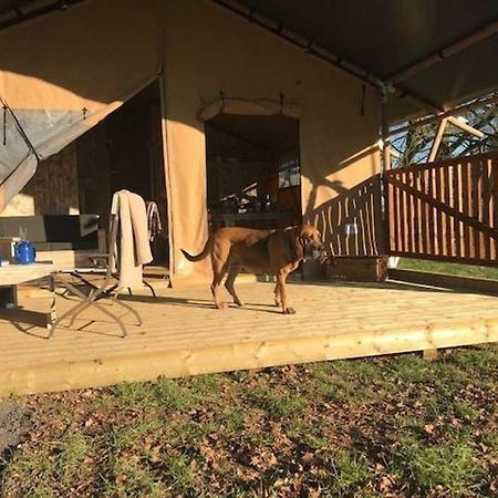 Lapwing Safari Tent Cheltenham Exterior photo