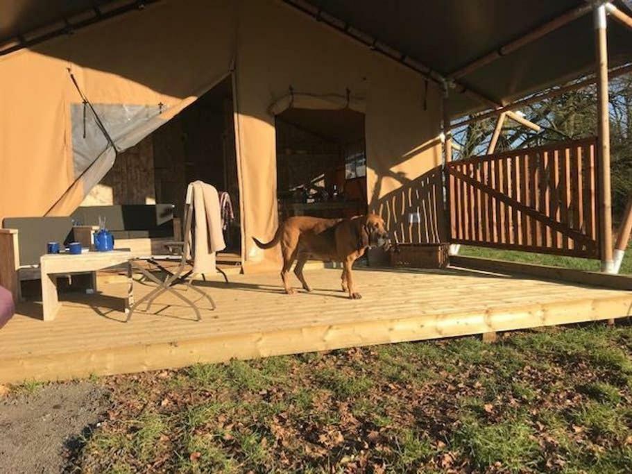Lapwing Safari Tent Cheltenham Exterior photo